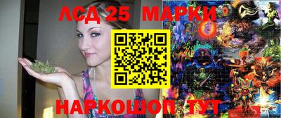 гидра Новозыбков