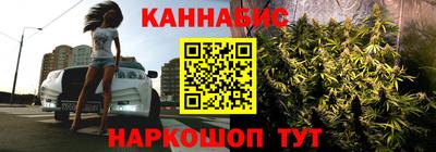 гидра Новозыбков