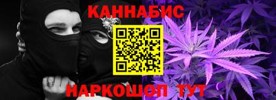 гидра Новозыбков