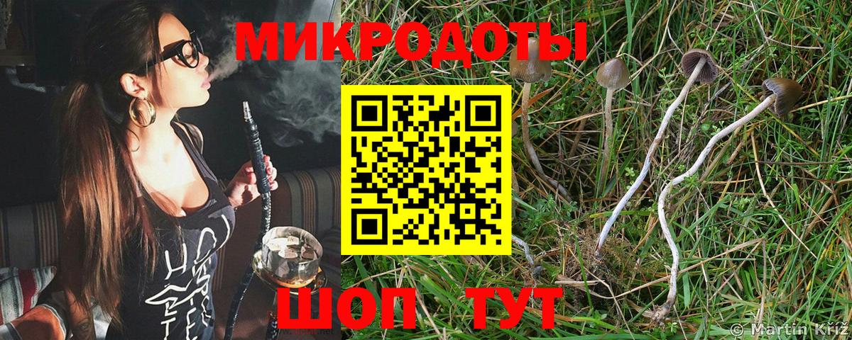 Псилоцибиновые грибы Psilocybe  купить наркотики сайты  Тулун  Вход с VPN 